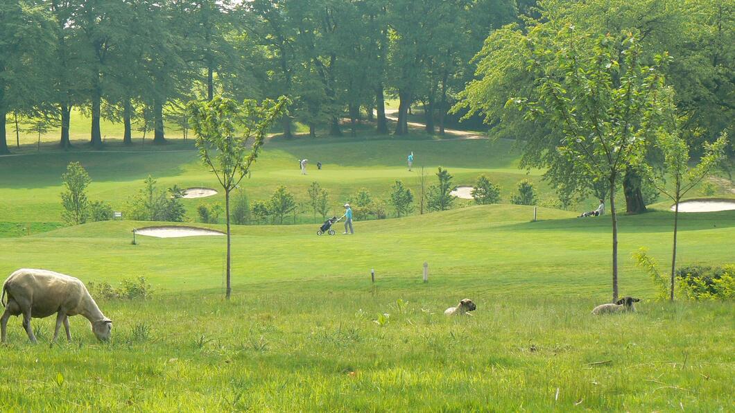 GroenLinks: ondernemers voor een duurzame samenleving en een veerkrachtige leefomgeving! Sport en recreatie.jpg