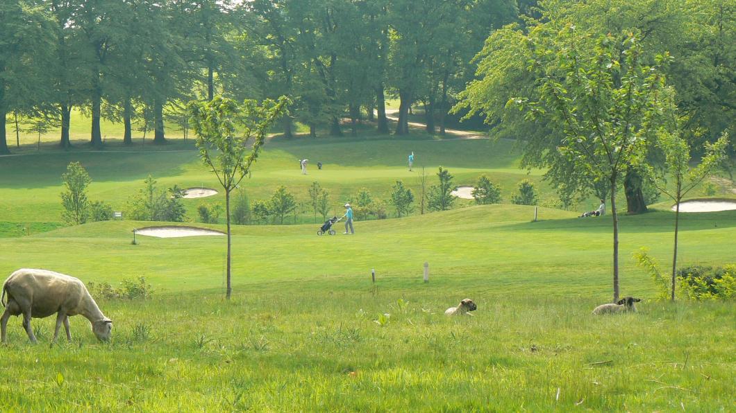 Sport en recreatie.jpg