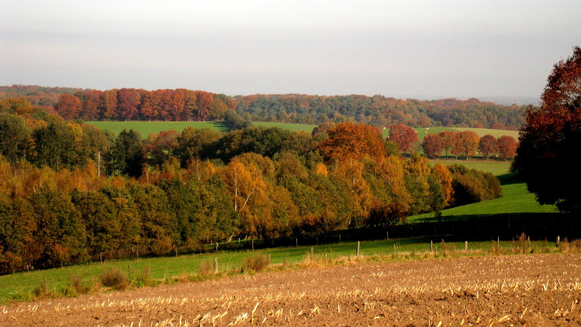 Schoenselaars Heuvels van Groesbeek CC BY 3.0