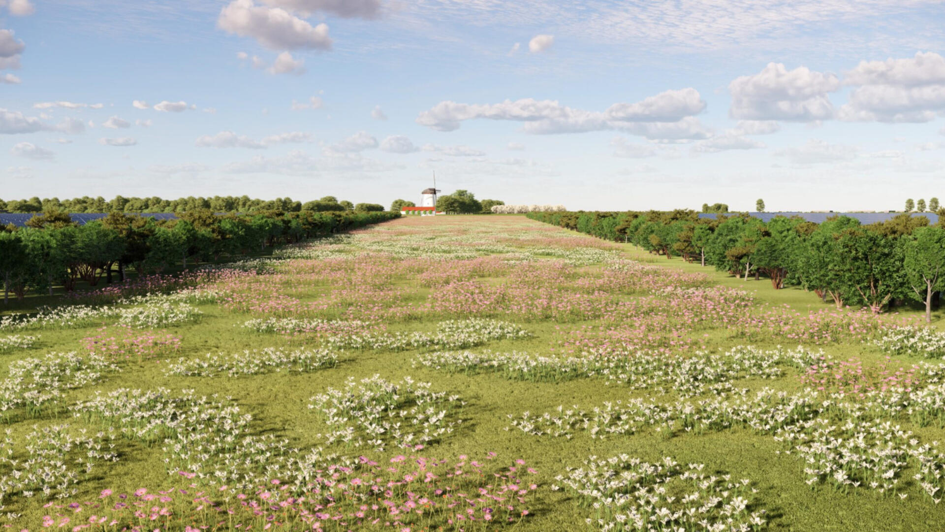 Zonneveld met mole